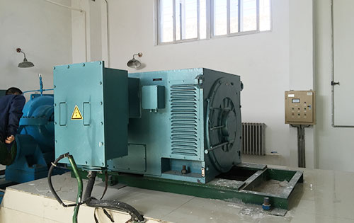 鹿邑某水电站工程主水泵使用我公司高压电机